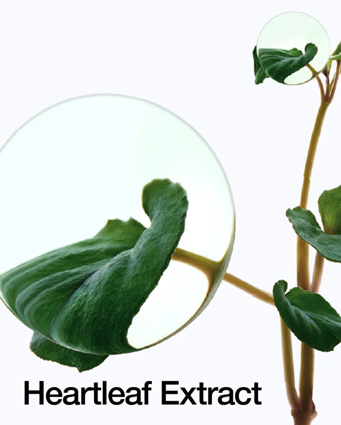 Heartleaf 80% Moisture Soothing Ampoule